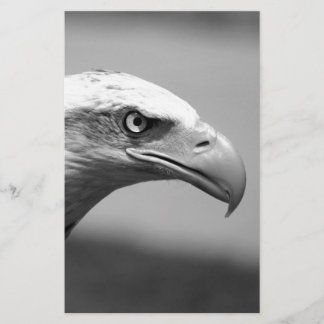Papeterie Oeil d'aigle noir et blanc