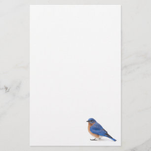 Papeterie Oiseau bleu