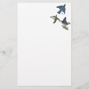 Papeterie Oiseau bleu oriental, John Audubon