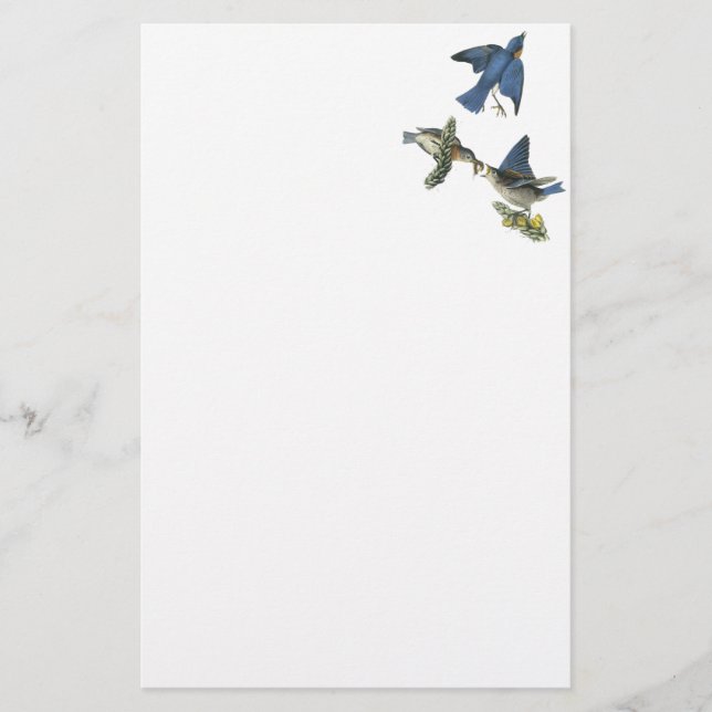 Papeterie Oiseau bleu oriental, John Audubon (Devant)