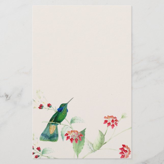 Papeterie Oiseaux de colibri Fleurs Animaux de la faune de l (Devant)