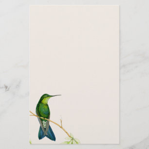 Papeterie Oiseaux de colibri Fleurs Flore Animaux sauvages