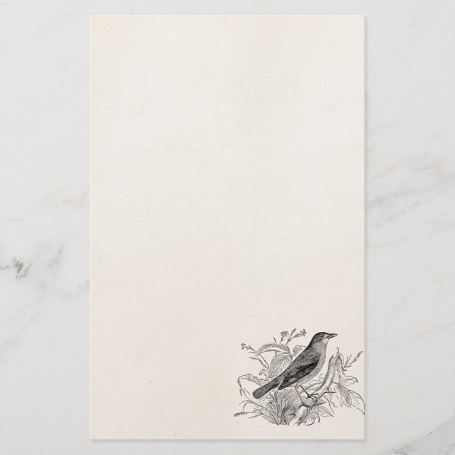 Papeterie Oiseaux personnalisés par oiseau vintage de (Devant)