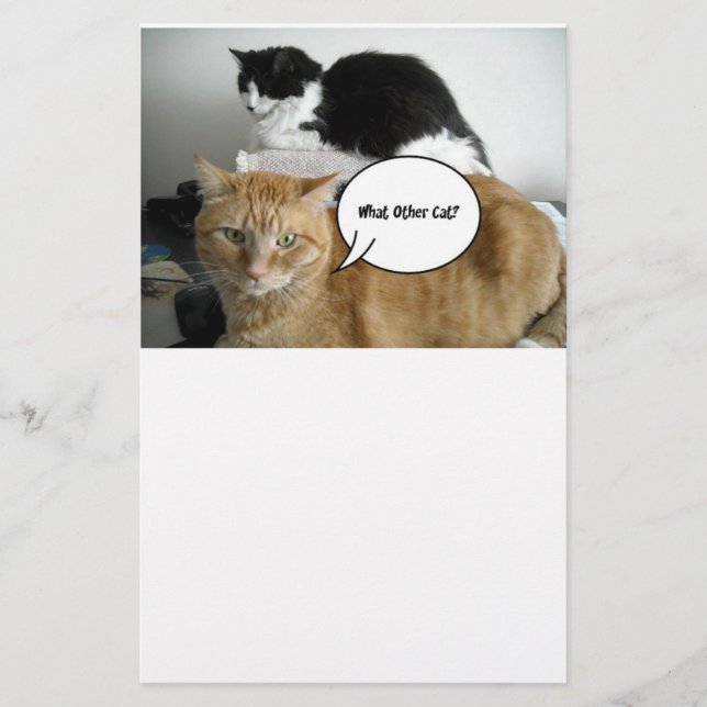 Papeterie Orange Tabby Cat Je suis désolé (Devant)