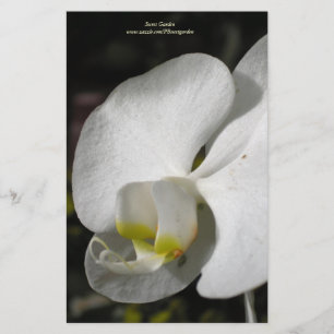 Papeterie Orchidée blanche en soie, pierre personnalisée