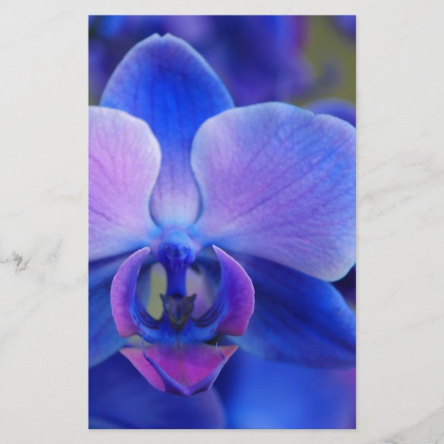 Papeterie Orchidée bleue et rose (Devant)