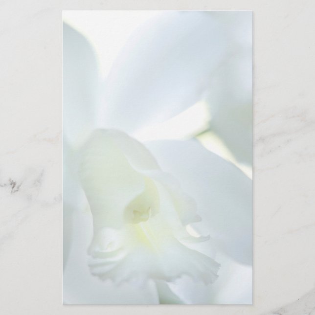 Papeterie Orchidée stationnaire (Devant)