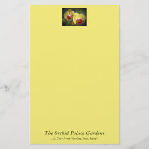 Papeterie Orchidées de teigne jaune - Phalaenopsis