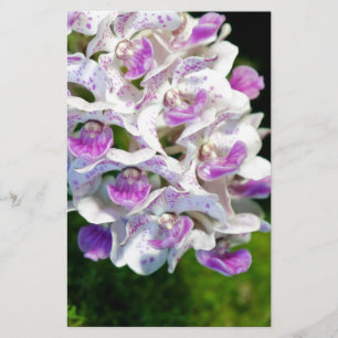Papeterie Orchidées violettes et blanches