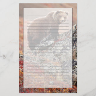 Papeterie Ours Brown de Denali