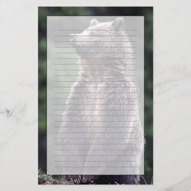 Papeterie Ours gris debout (Devant)