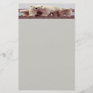 Papeterie Ours polaire Papier à lettres