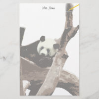 Panda géant dans un zoo d'animaux sauvages photogr