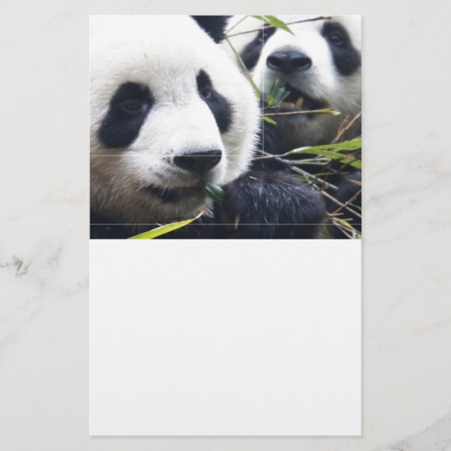 Papeterie Pandas géants (Devant)
