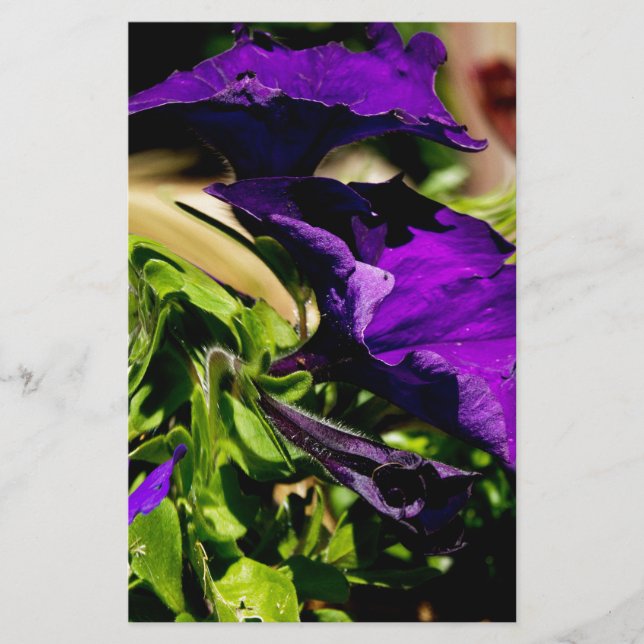 Papeterie Panique violette (Devant)