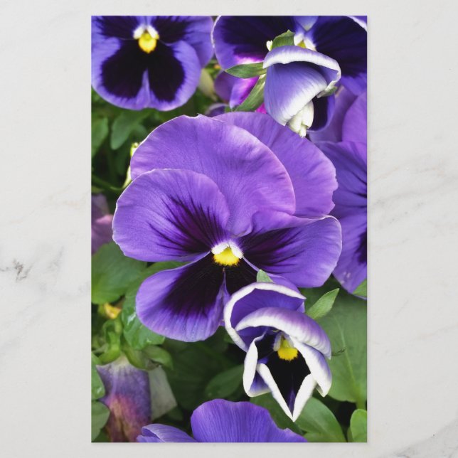 Papeterie panneaux violets (Devant)
