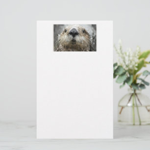 Papeterie Papier à lettres avec photo de visage de loutre de