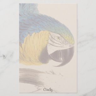 Papeterie Papier à lettres Blue Gold Macaw Parrot Bird Wild