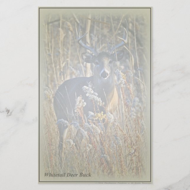 Papeterie Papier à lettres Cerf Buck à queue blanche (Devant)