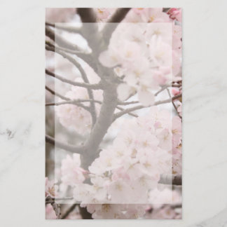 Papeterie Papier à lettres Cherry Blossom