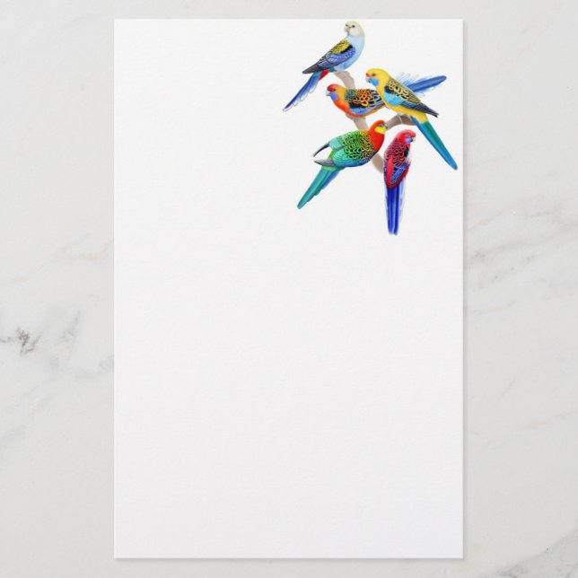 Papeterie Papier à lettres colorées Rosella Parrots (Devant)