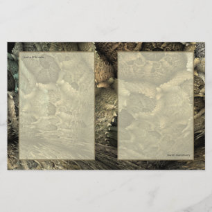Papeterie Papier à lettres d'art de fractale de peau de