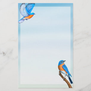 Papeterie Papier à lettres d'art ornithologique pour les oi