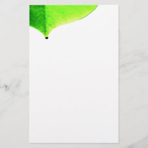 Papeterie Papier à lettres de congé vert