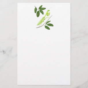 Papeterie Papier à lettres de Mantis
