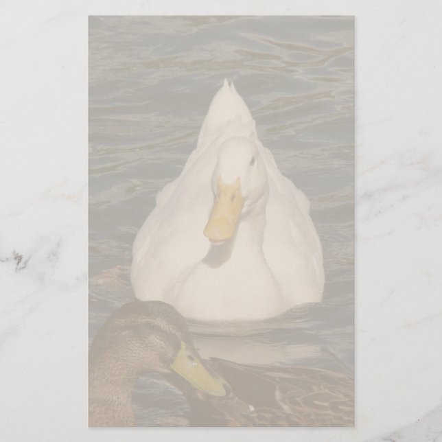 Papeterie Papier à lettres Pekin Duck Birds (Devant)