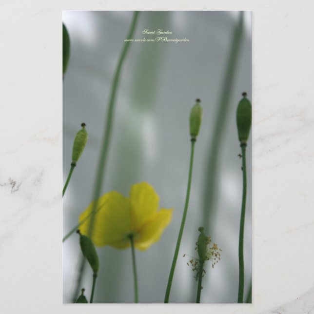 Papeterie Papier à lettres personnalisées 3 (Devant)