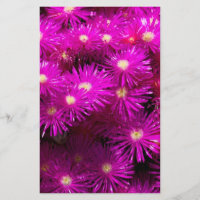 Papier à scandale à fleurs rose Aster