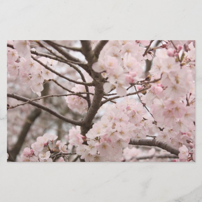 Papeterie Papier artisanal Cherry Blossom (Devant)