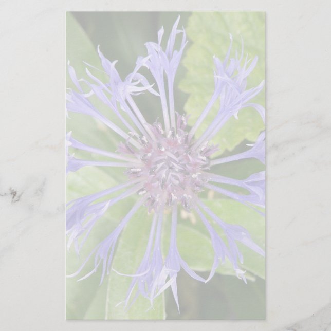 Papeterie Papier Corbeille Bleu (Devant)