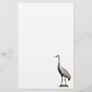 Papeterie Papier en-tête photo Sandhill Crane