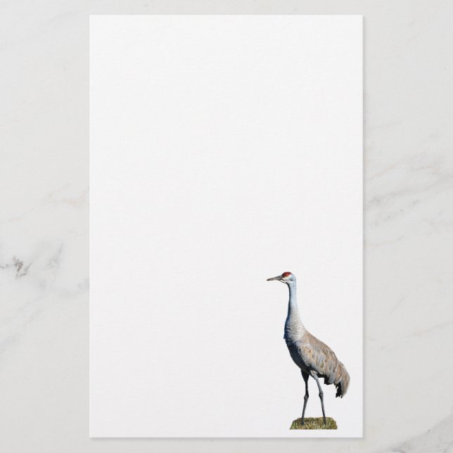 Papeterie Papier en-tête photo Sandhill Crane (Devant)
