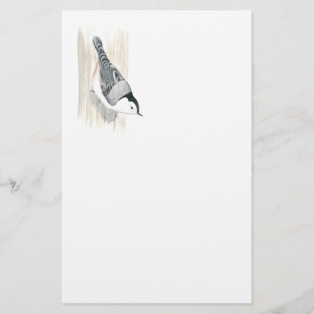 Papeterie Papier Nuthatch à poitrine blanche (Devant)