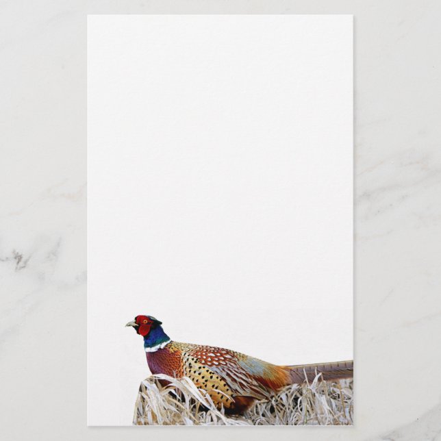 Papeterie Papier photo Pheasant à cou à anneaux (Devant)