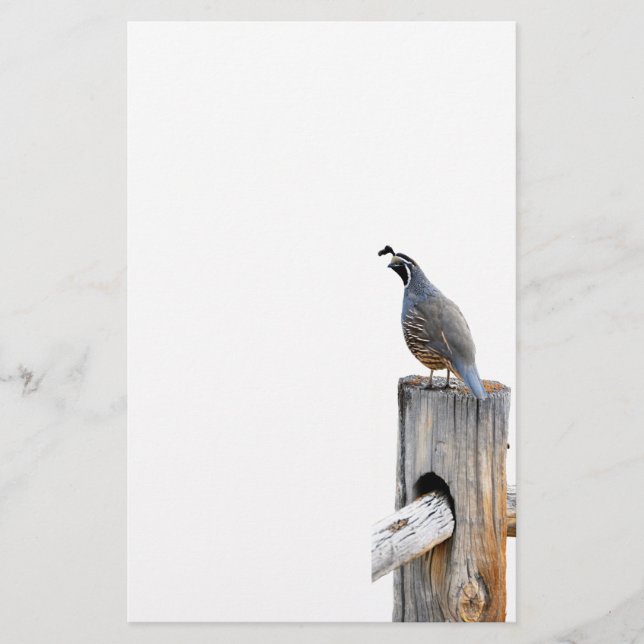 Papeterie Papier photo Valley Quail (Devant)