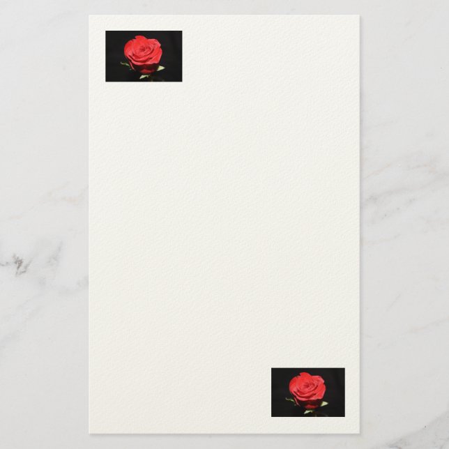 Papeterie Papier Rosey (Devant)
