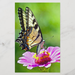 Papeterie Papillon Papilio glaucus