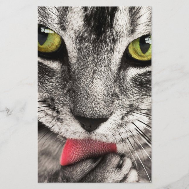 Papeterie Paw de cueillette de chat Tabby (Devant)