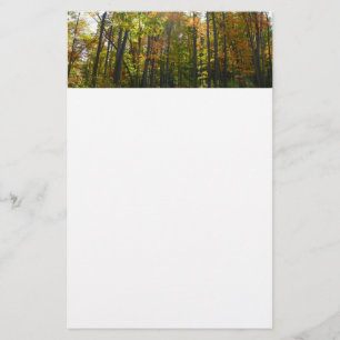 Papeterie Paysage d'automne de forêt ensoleillée