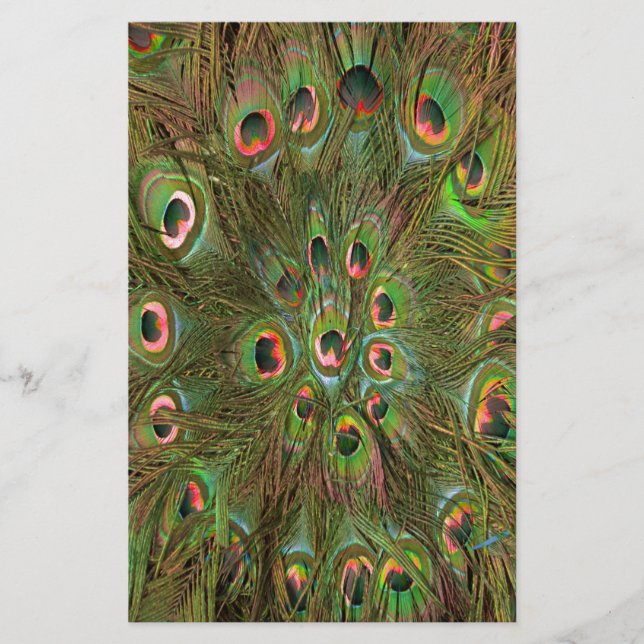 Papeterie Peacock plumes Arrière - plan vert (Devant)