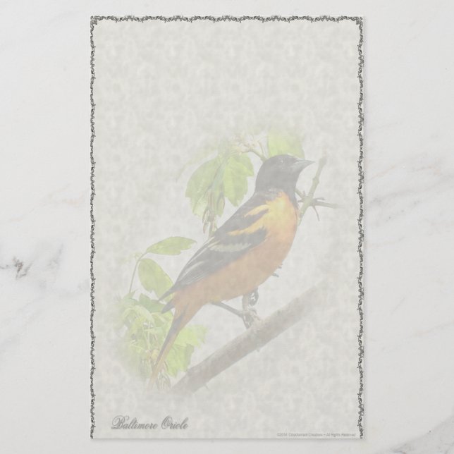 Papeterie personnalisée de l'oriole de Baltimore (Devant)