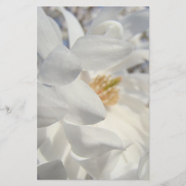 Papeterie personnalisée fleur de magnolia blanc (Devant)