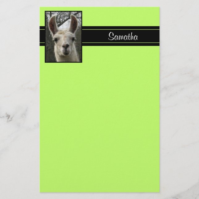 Papeterie personnalisée par lama mignon (Devant)