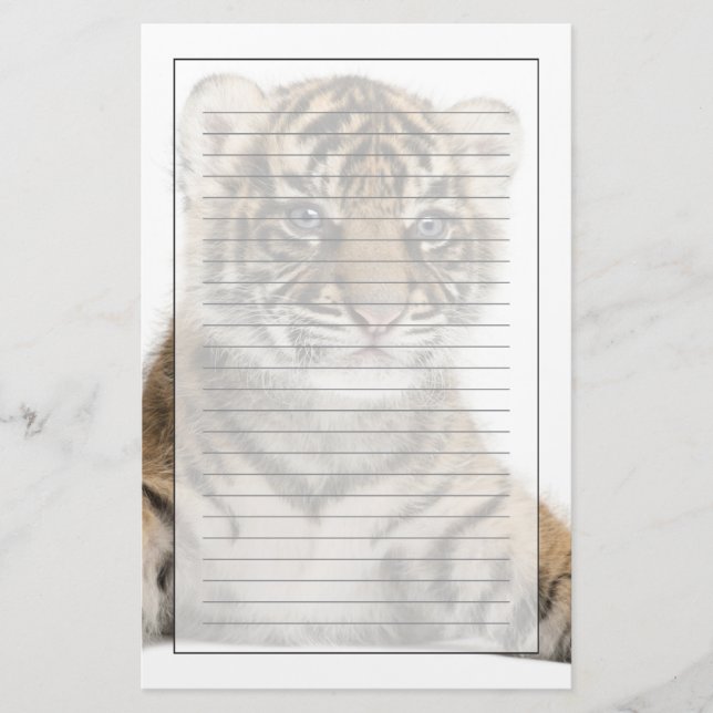 Papeterie Petit animal de tigre de Sumatran (Devant)
