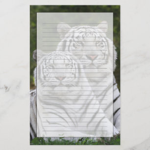 Papeterie Phase blanche, Tigre du Bengale, Tigris