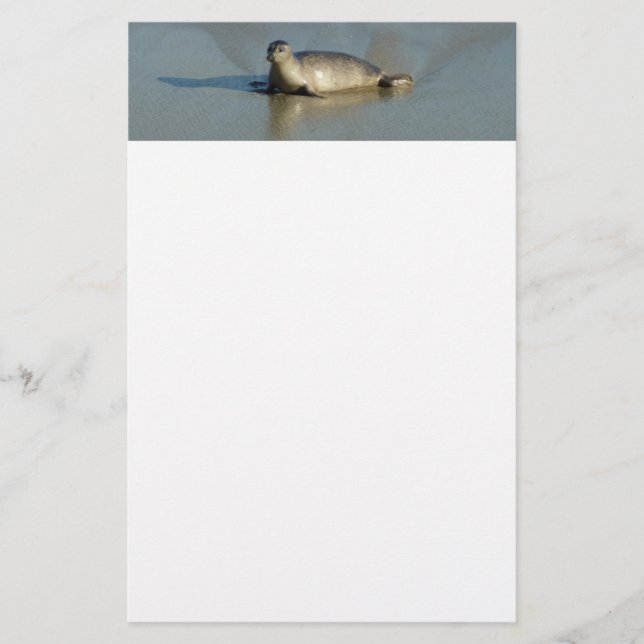 Papeterie Phoque du port à La Jolla en Californie (Devant)